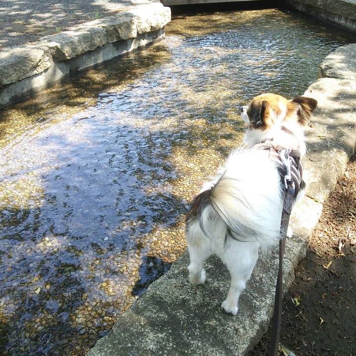 289ecd8f d423 4c0d 8992 b6c7608b7396