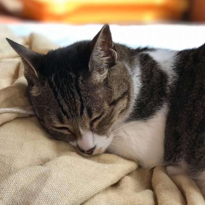 289f9cab 9bf2 489a 8865 393e99e0252d