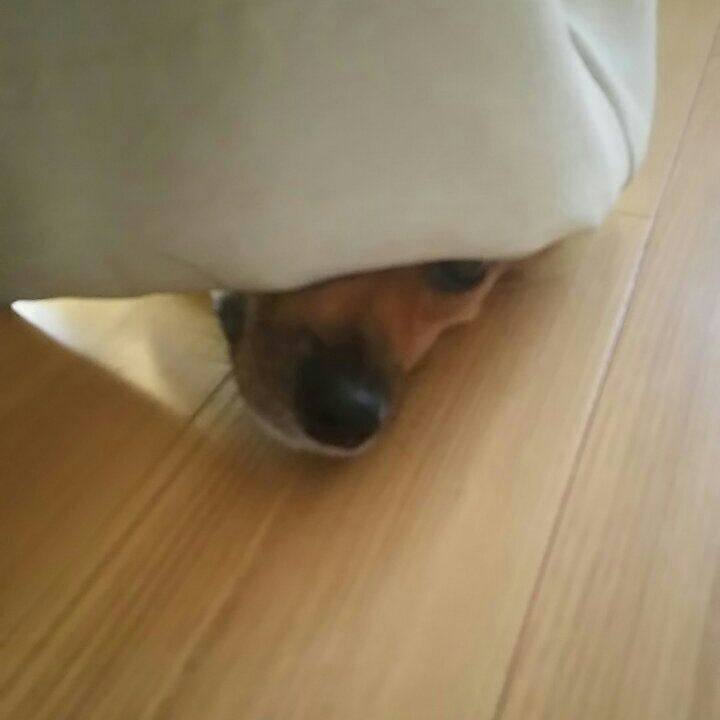 289fa99f 2a38 4294 9c39 7afb6eed6cb9