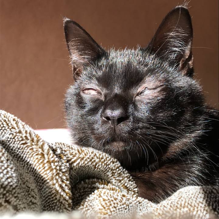 289fb574 cd46 48eb abca d3896cce0c73