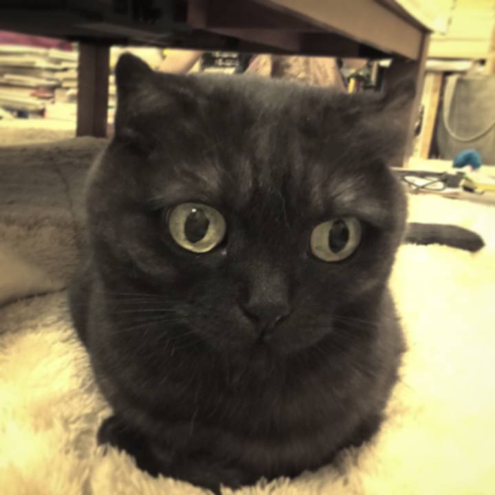 28a029d3 0639 417f 8b68 a9d4b38b0e7b