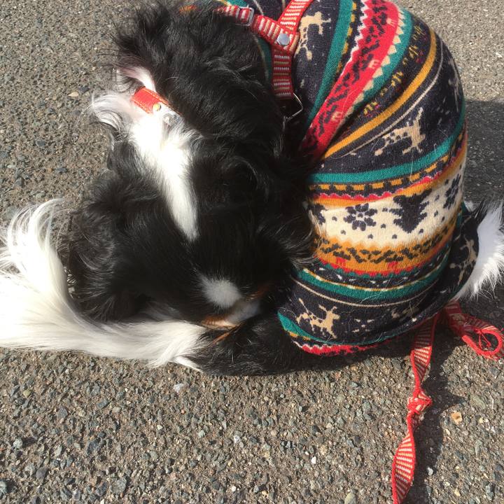 28a1327a f547 4b31 99a0 2f8cb08c14df