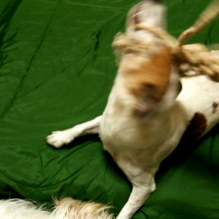 28a14ff6 f504 4984 919d a24ad9728f1a