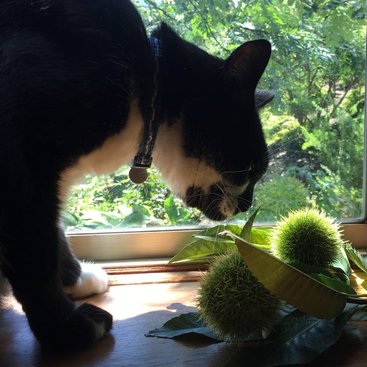 28a207e2 6086 4ce9 ae3e 781f227b7e2f