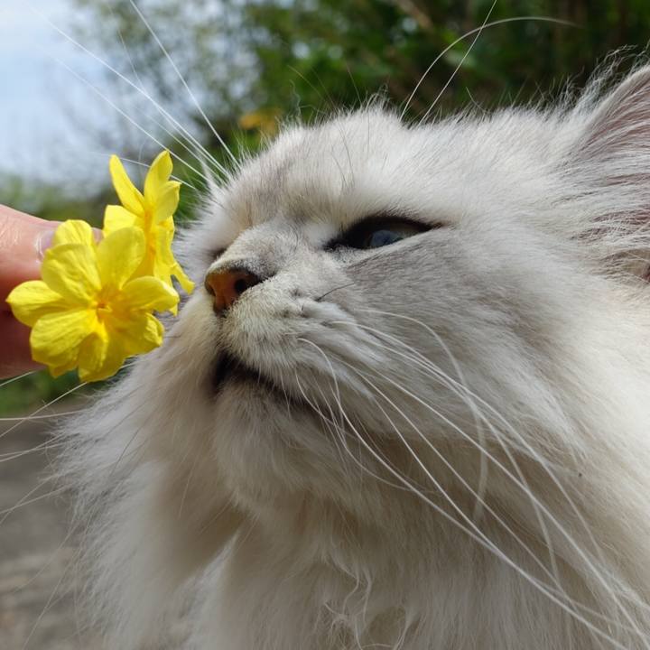 28a3def1 d512 4a2e a675 33abb5f3e950