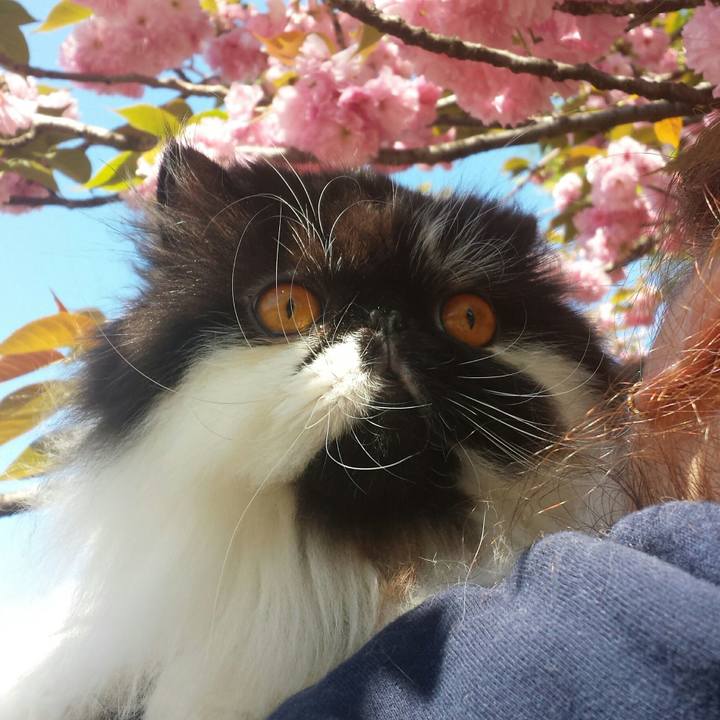 28a40276 5b74 4864 97a8 e179d2d16dfb