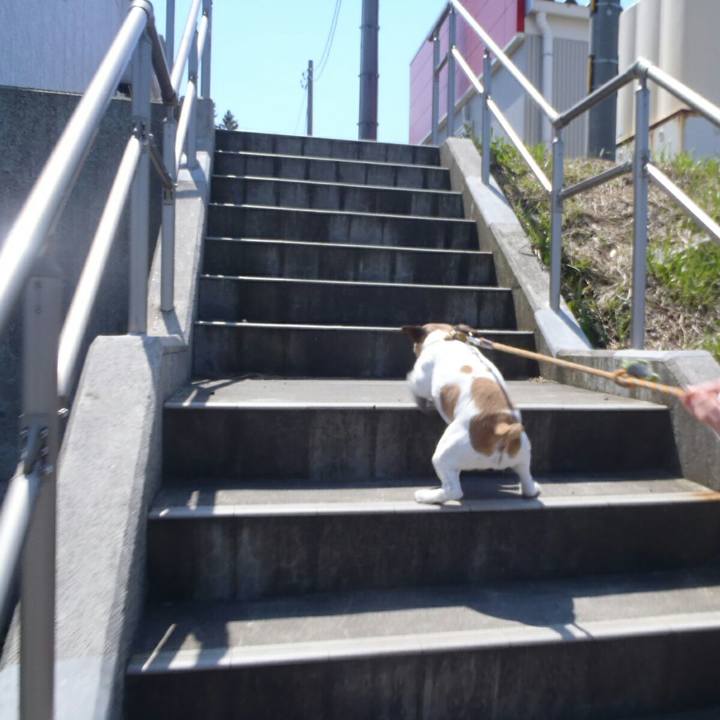 28a40cfd a17c 489e 86e9 1c19c43d6ac2