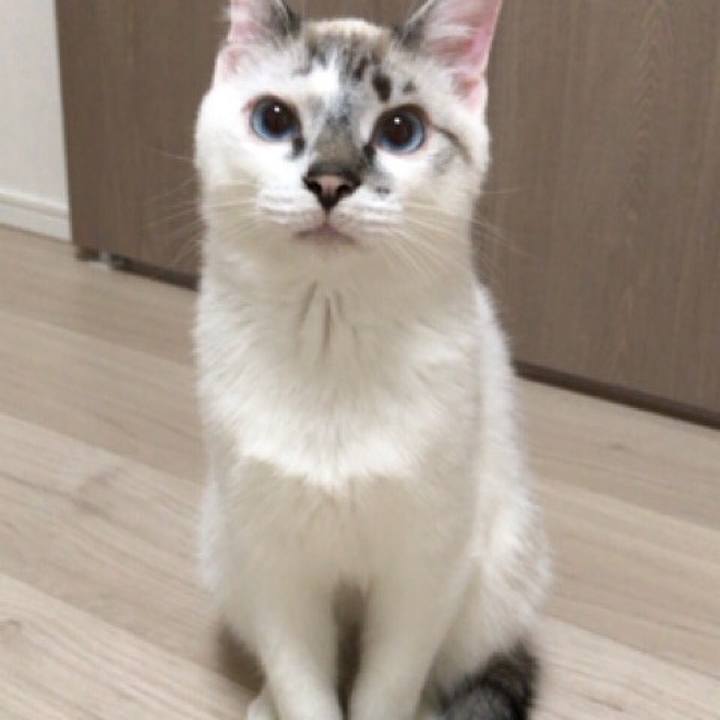 28a4122e d542 42e5 a2bc 0d80969bbd3a