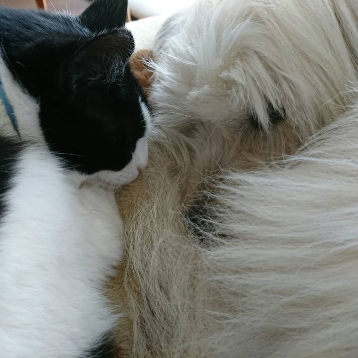 28a4581f 5540 49fd 88dc fecb1271c4b0