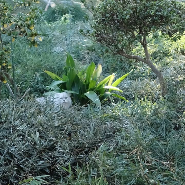 28a4f33e 5fab 4d0f acd5 01b923a013a0