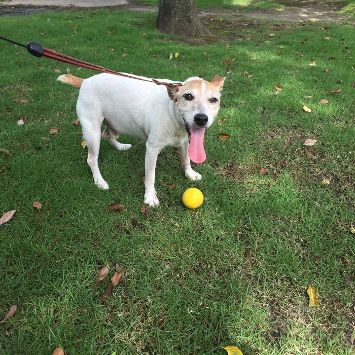 28a5115a 1fbb 4c66 90c9 c5df6e7137a4