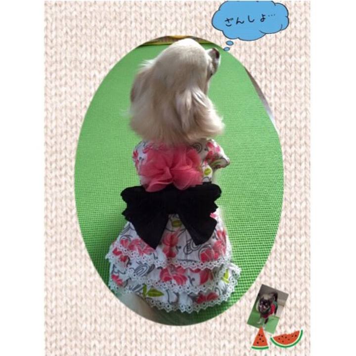 28a6d607 2471 4fd3 8aaa 51034459bcdb