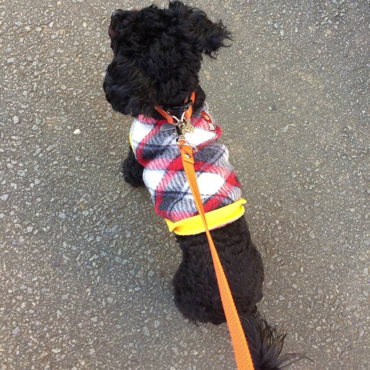 28a6eebe 375f 44ad 8bf0 e9039df78440