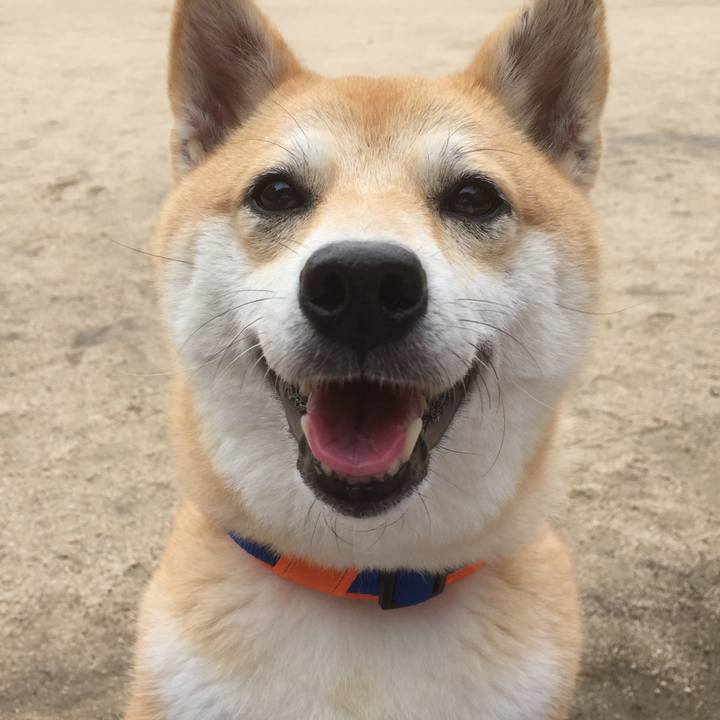 28a7e435 738d 49b7 9359 7163a916e679