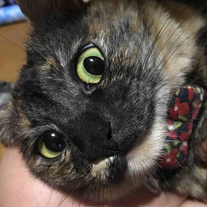 28a8d49f 62e1 424c 99fe 7fa874ee5837