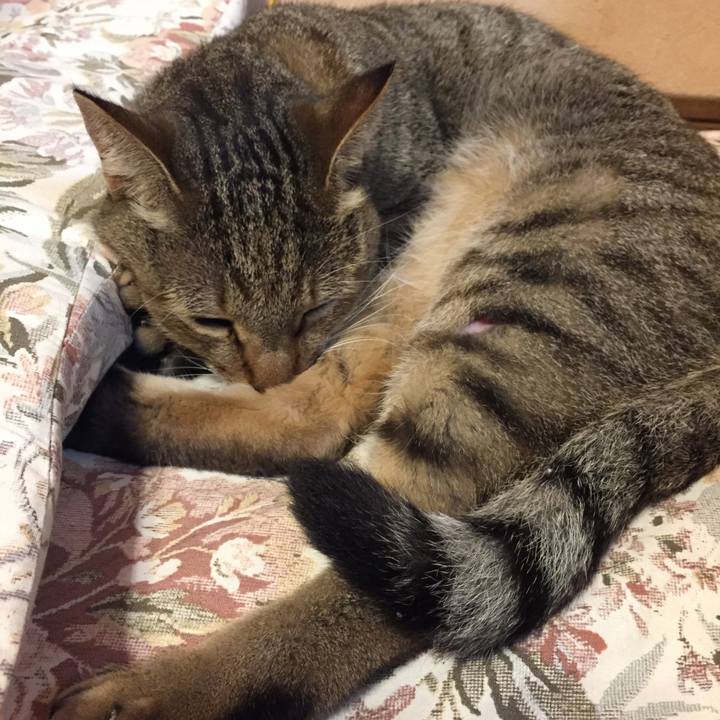 28a9419a d8c6 437f 9587 6f471d829431