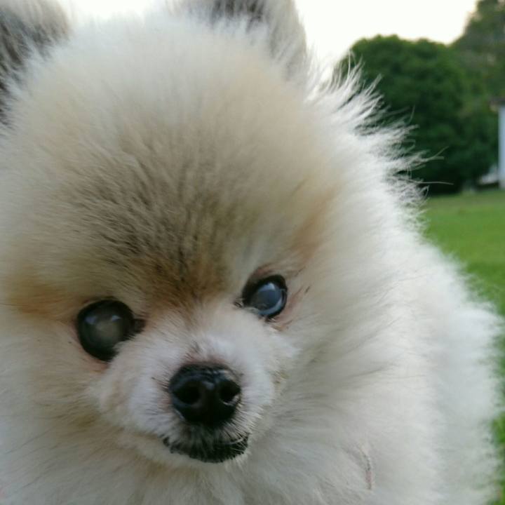 28a9540f 4b95 466d 90a7 7c471dc56aad