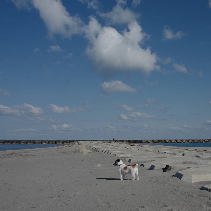 28a9afdd 32d8 440c b0dd 158d3fae3e94