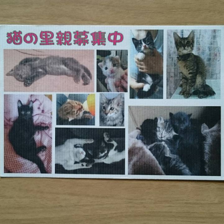 28aa2dcf e234 47c6 8832 3cad2477cf3e