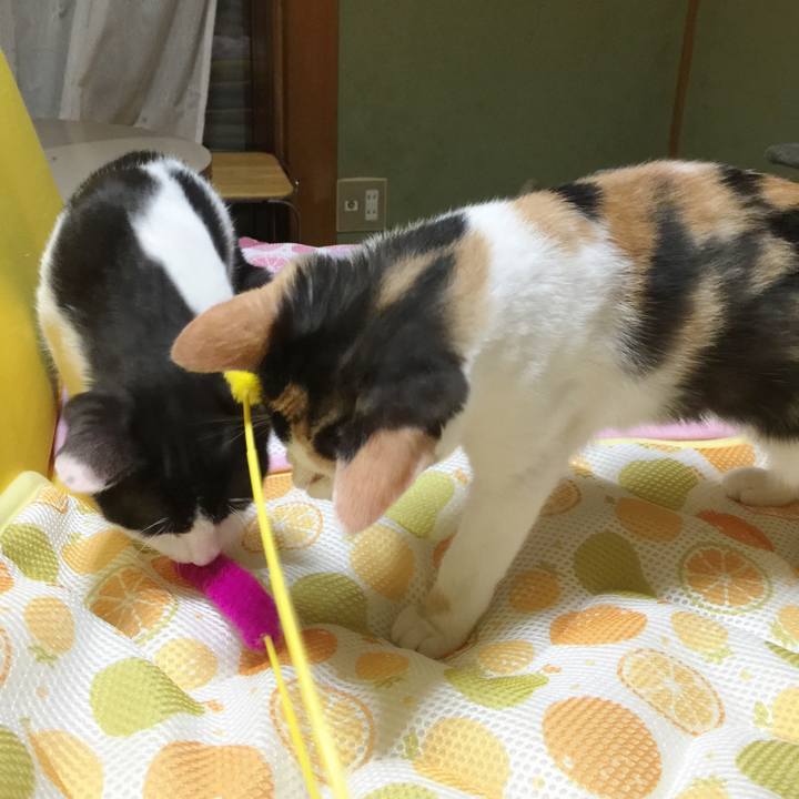 28aa3efc 0d92 4a65 bbaf 40347a134eb9