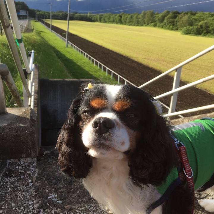 28aa87d4 3762 4517 8a29 a73c2d8e5f19