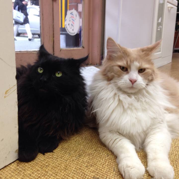 28aa8c58 11a7 4bf8 8c03 4fbba3cebf0b