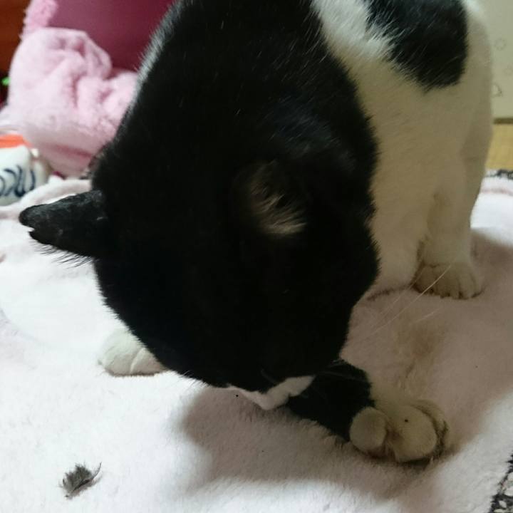 28aa9e7c be50 4fa9 b477 4e951a1eb5c9