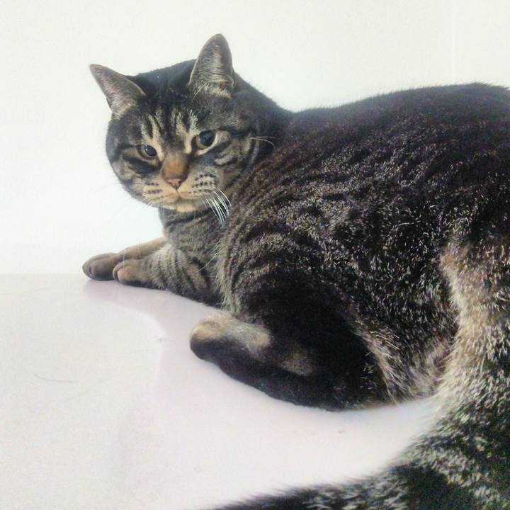 28aaa508 66e7 4941 8364 6187b9dc4805