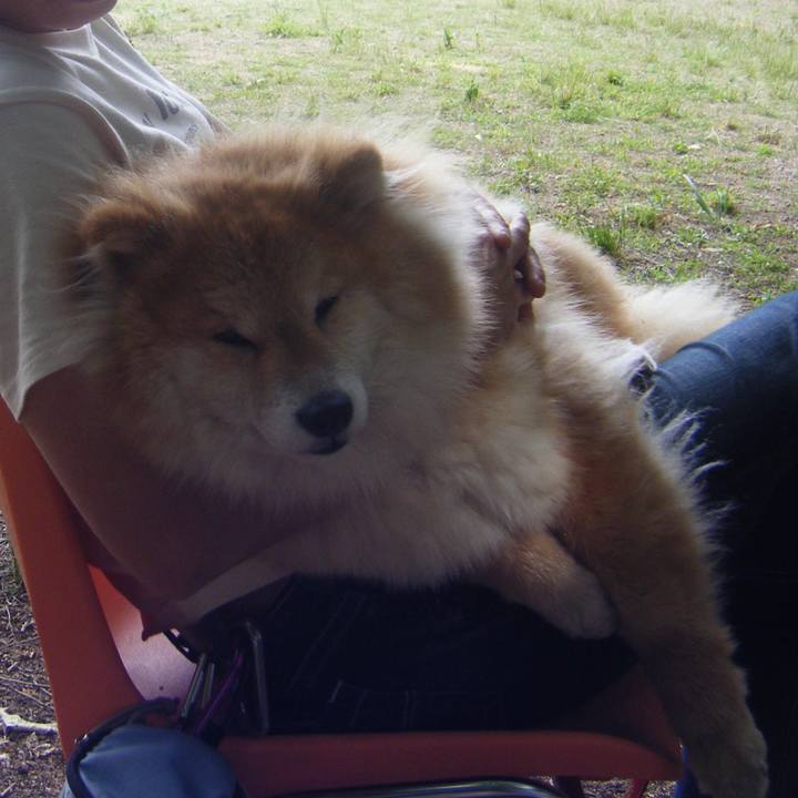 28ac03d7 aae3 4ea7 876b 94e01f293b63