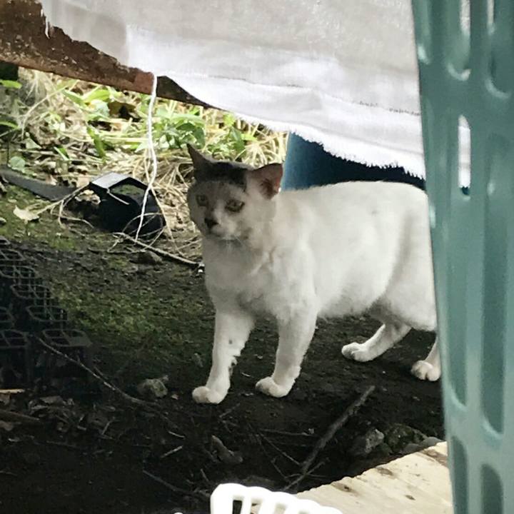 28ac217a 61eb 4bfa a8a3 fd4f707f8b4b