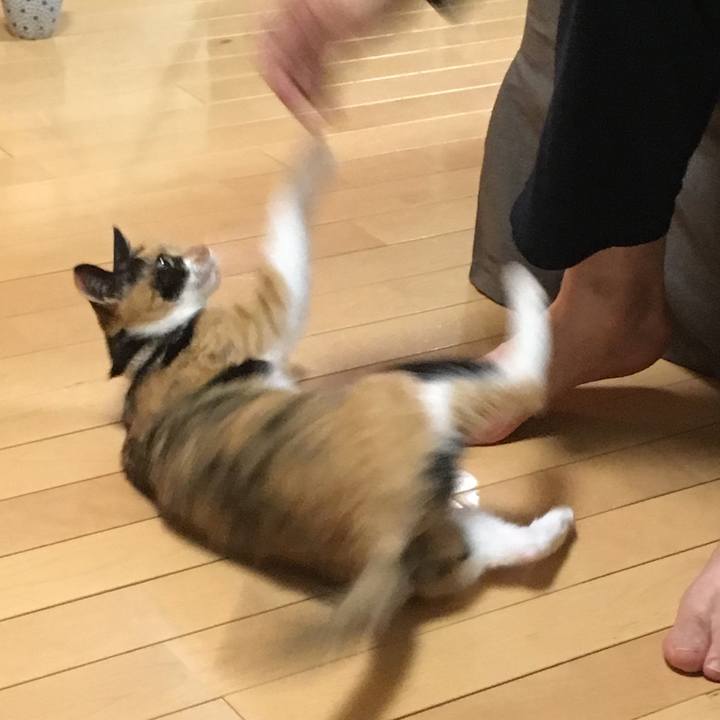 28ac2f16 10b8 49aa 909e a6c9a99c479d