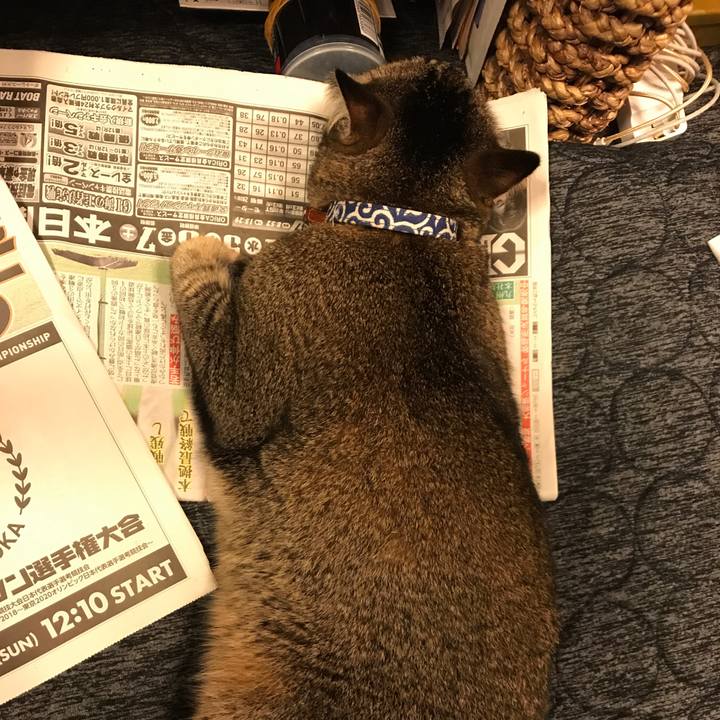 28ac4378 4d5e 44cc b819 6899a1706e33