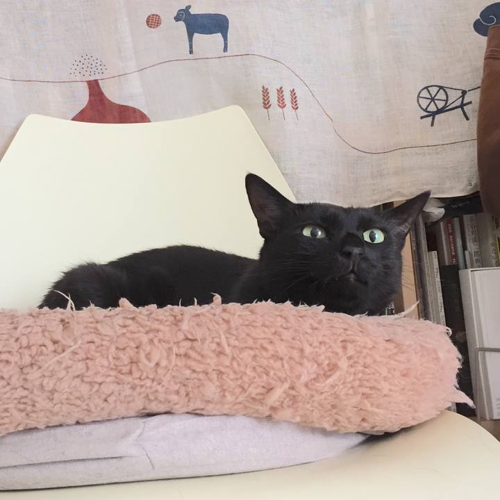 28ac6d1d a939 48ec 8c68 dea6e0d33ddc