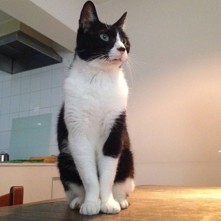 28ac6dd3 59d1 47fc 9611 a6df3716941e