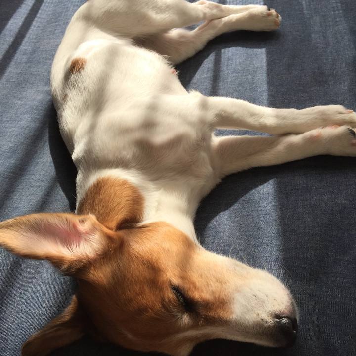 28ac9cba afb4 4af7 9465 2e6982da08e5