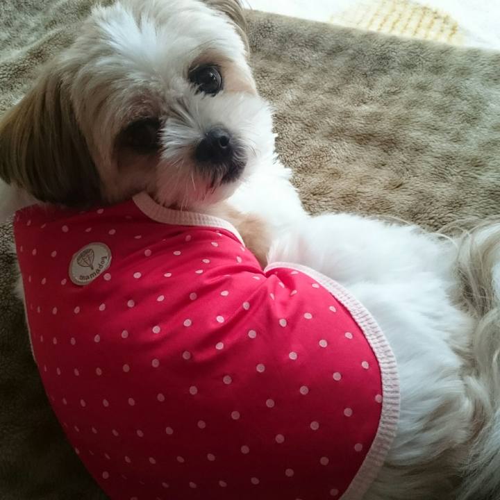 28acb4e0 a59c 451e 8d52 0819e21d5126