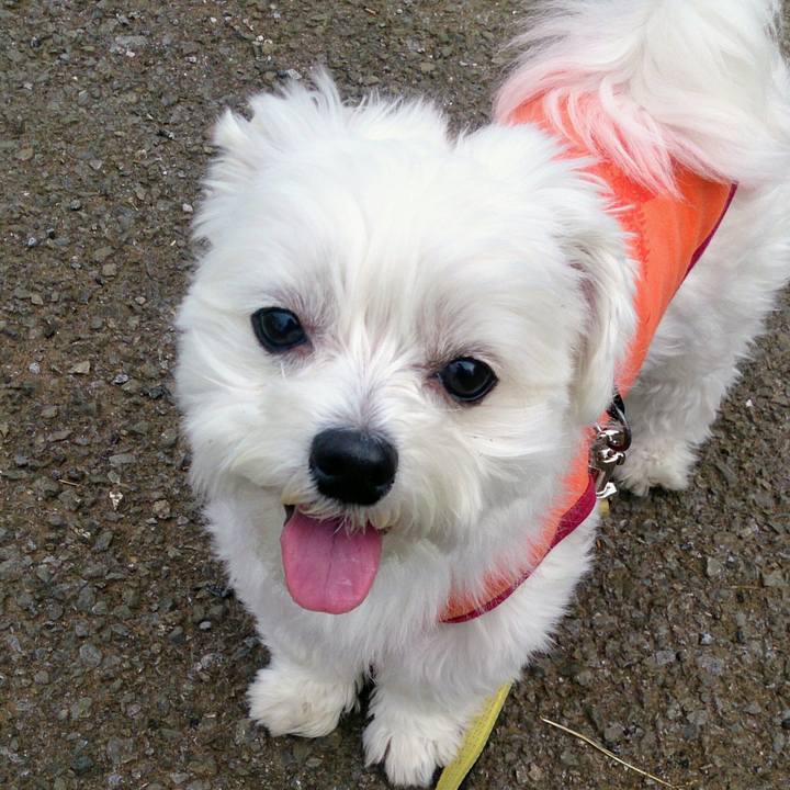 28ae609e 2809 4906 a688 1cd1075a83ab