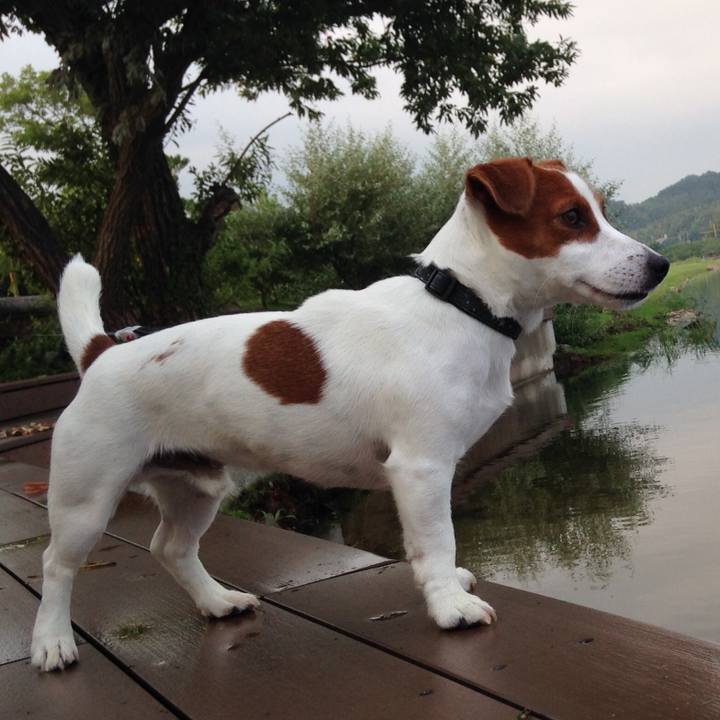 28ae6d66 99d5 4a27 aafb 165b58d7e248