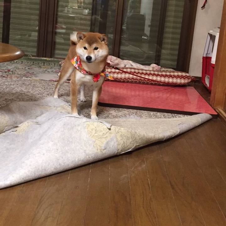 28ae92d8 2b79 4fa8 a39a f5085808669a