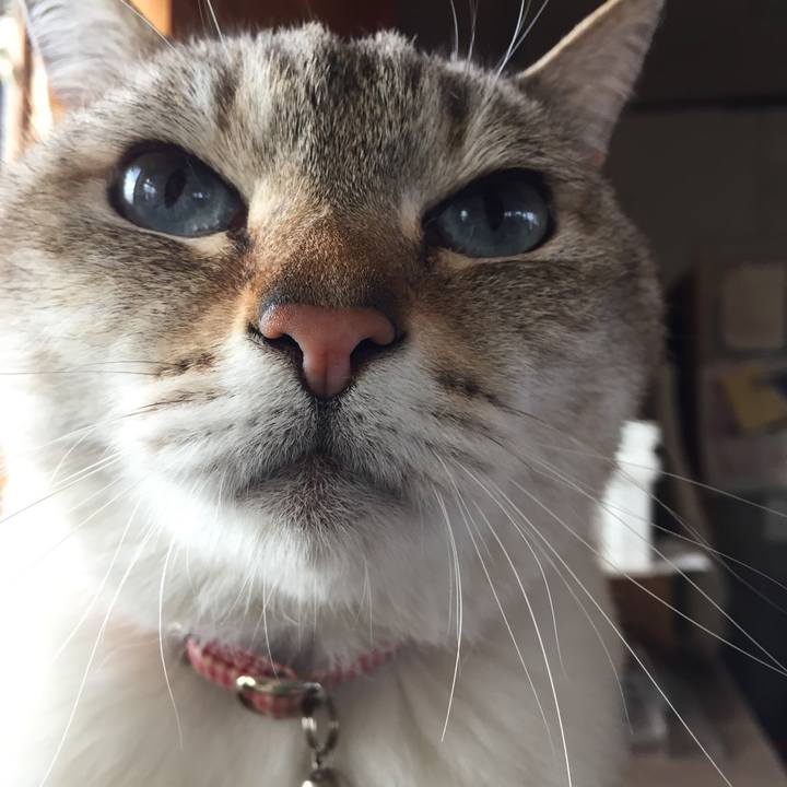 28aea22a f207 4e69 b832 a7fc6ef02729