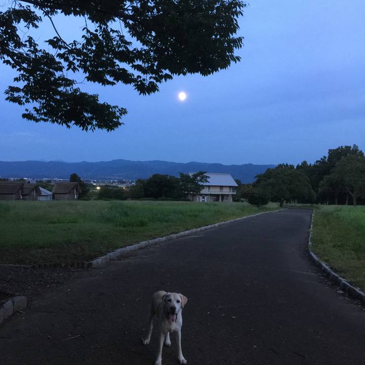 28af8940 9467 4de7 b50b a6d1a00c99fd