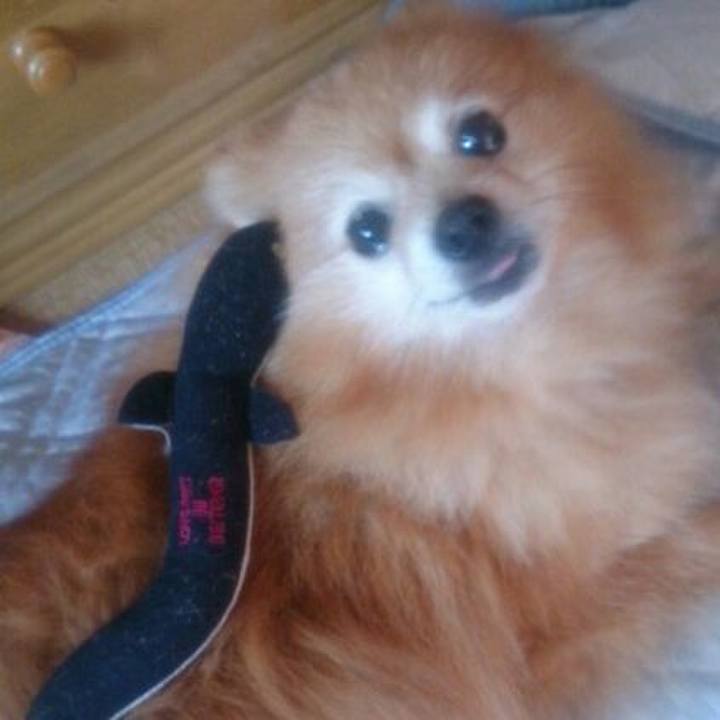 28b07aa4 eeec 4143 b538 21941f749f44