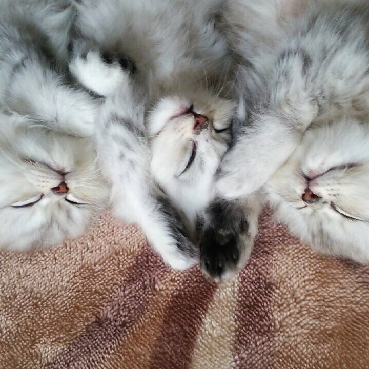 28b0a15d cf5b 46f7 abd3 83d4a8f99f88