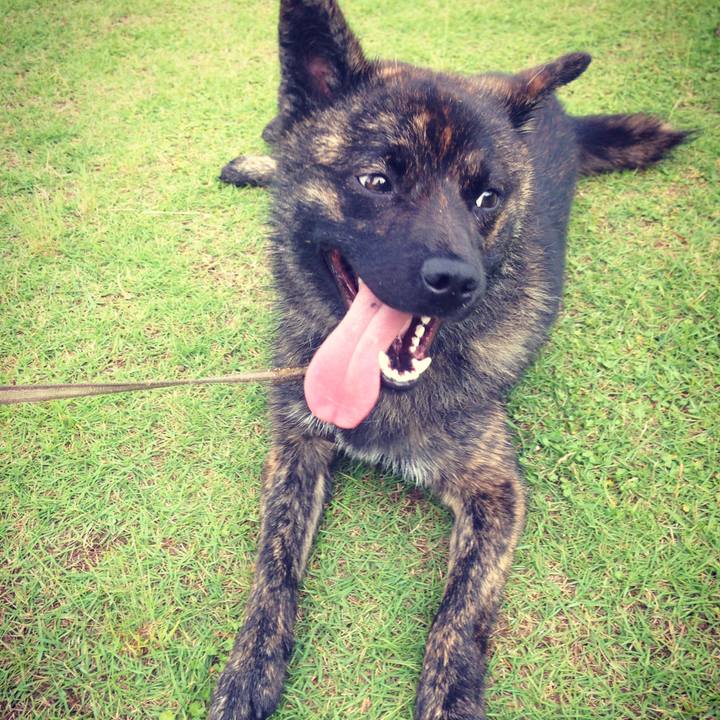 28b1d2c0 acbf 4586 aab9 91080ac0dae8