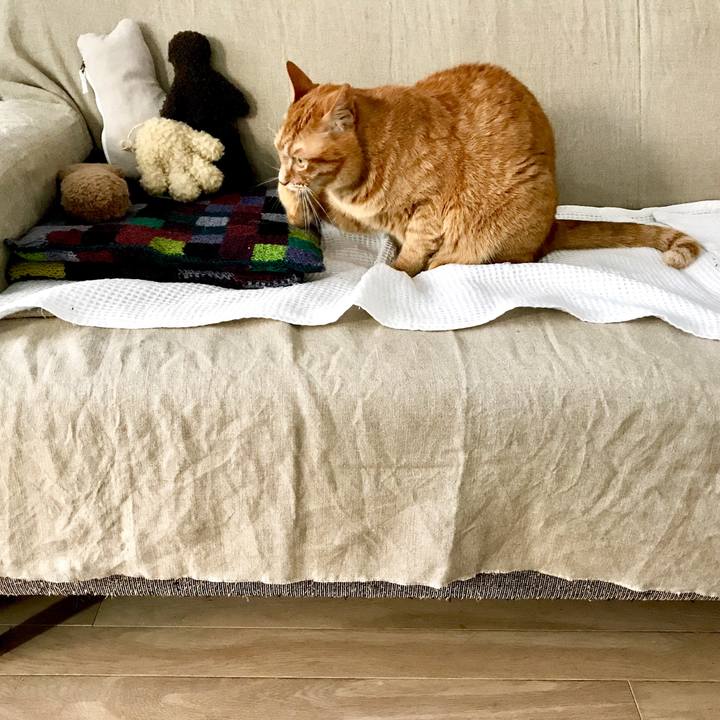 28b2201c c321 4d0c 859a 7b256ef20782