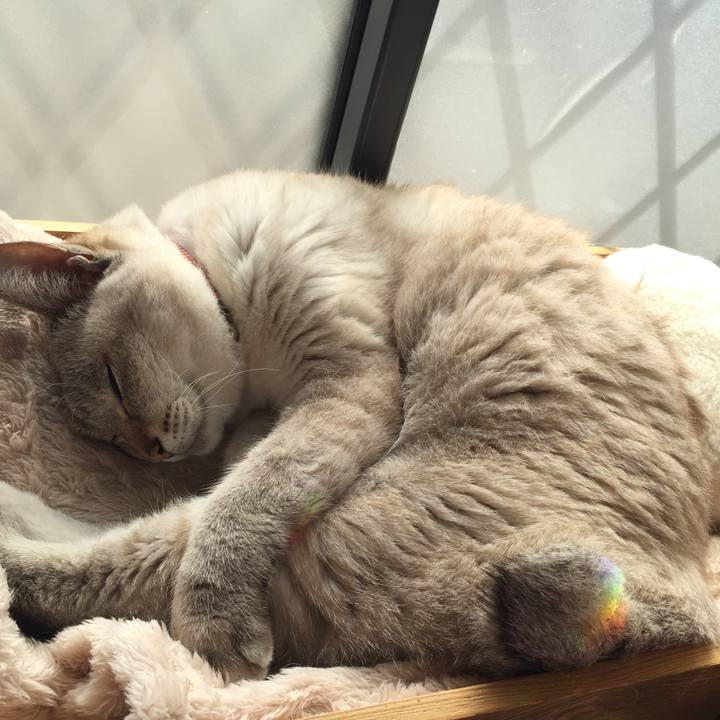 28b2ce08 36fb 470f afb2 c5df42d72765