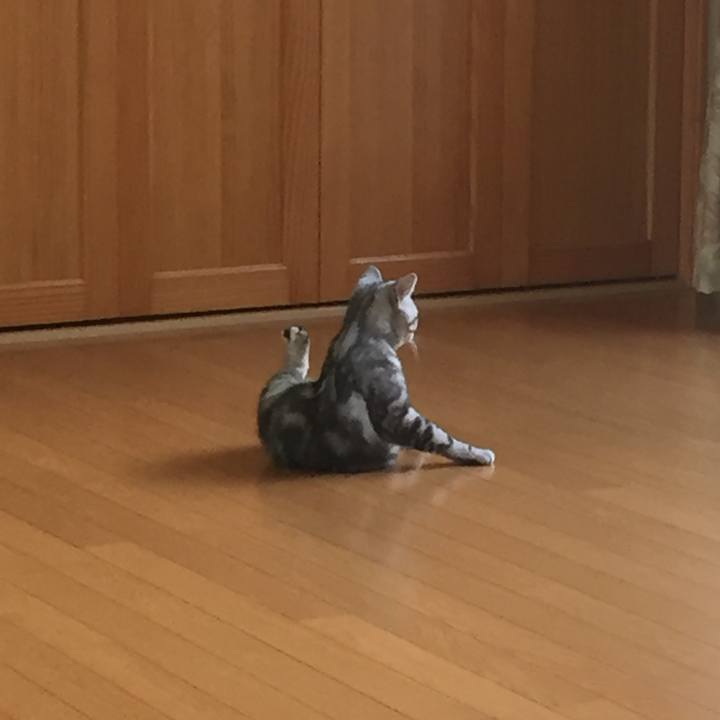 28b31b83 084a 4c41 b775 1c4e677fd0fa