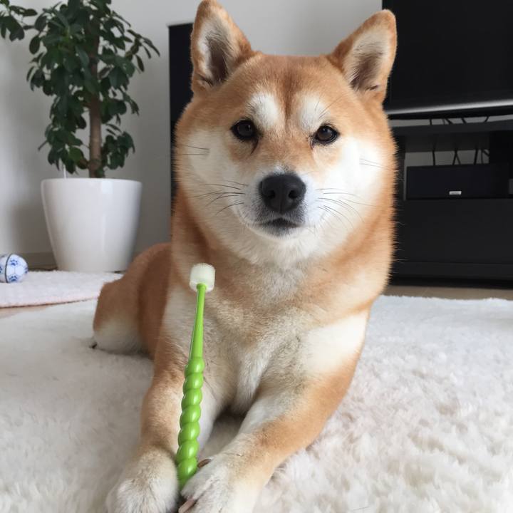 28b34a71 6f69 4b83 a9b4 52d1f66193e8