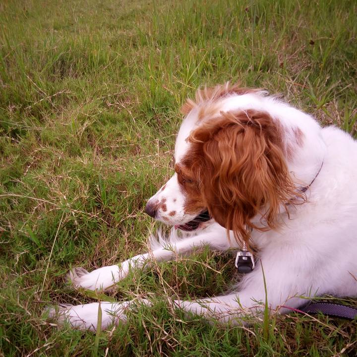 28b3b51a 00fe 4ca6 ae4d 09eabbb28d94