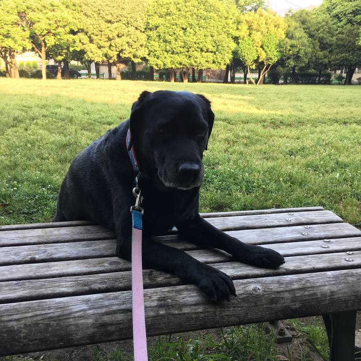 28b4197c 180e 45e6 9237 7f0fe432d625